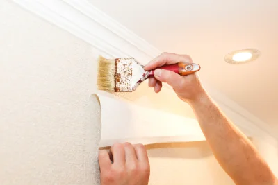 Pose de papier peint à Vêtre-sur-Anzon — revêtements muraux et toiles de verre